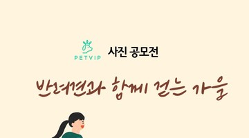 가을맞이 산책 이벤트 <반려견과 함께 걷는 가을> 사진 공모전