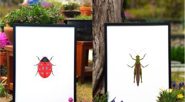 곤충, 그래픽아트를 만나다 展