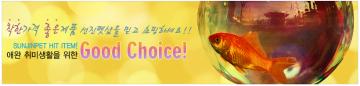 Web design12