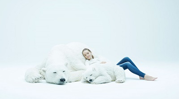 북극곰을 가질 수 있는 방법, ‘예술로서의 동물들’