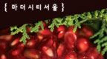 메트로폴리스 999 vol.1 마더시티서울